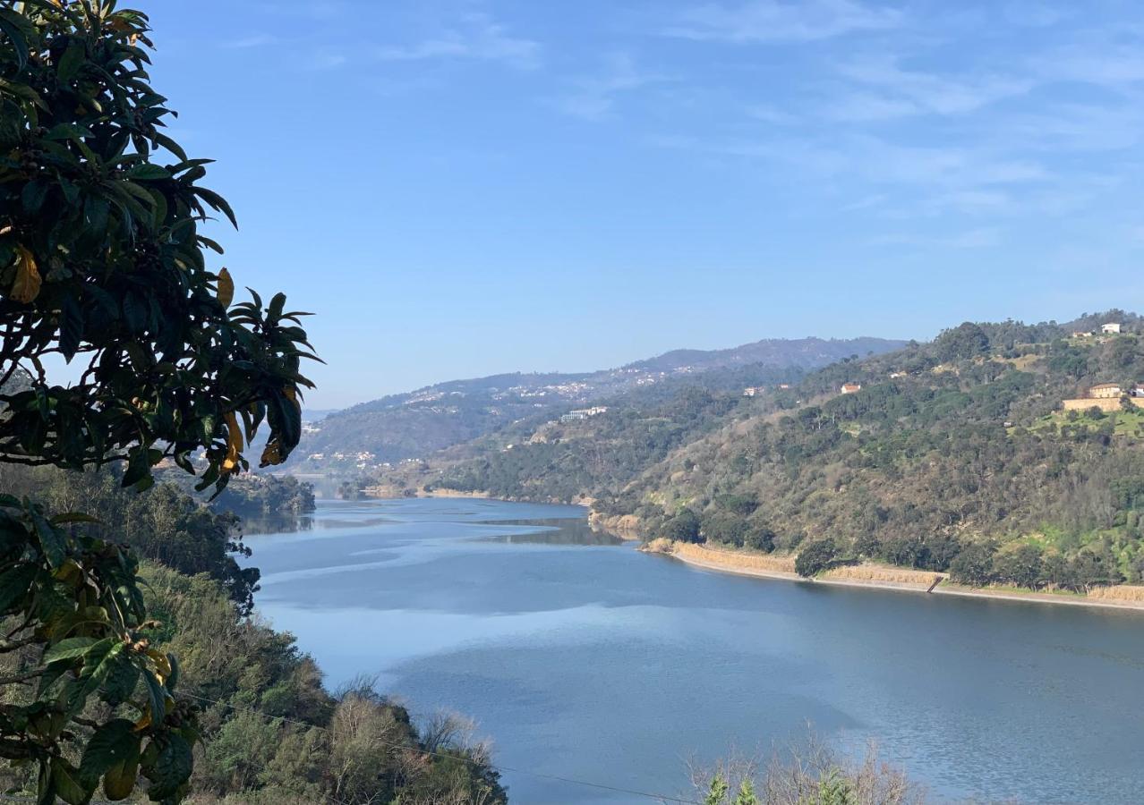 Quinta Da Porta Caseira Resende Bagian luar foto